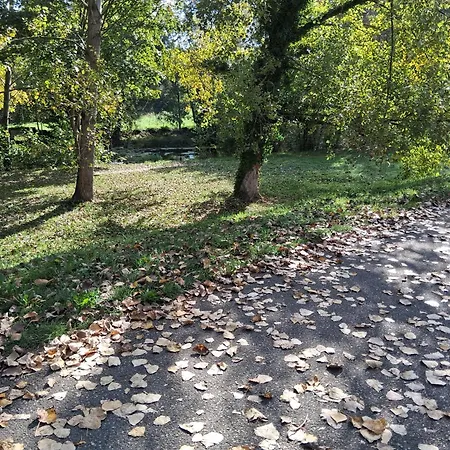 Apartamento Luminoso En Grado, Cerca De Oviedo